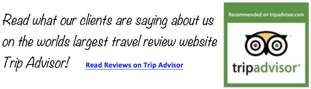 private shore trips reviews